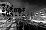 徳島市の（株）ライフ／ライフキャッシュプラザ徳島店