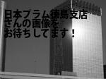 徳島市の（株）日本プラム徳島支店