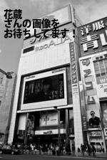 徳島市の（株）花蔵